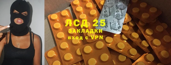 прущие грибы Баксан