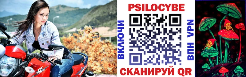 Галлюциногенные грибы Psilocybine cubensis  Волгореченск 